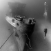 wreck_kittiwake_gc_v_0098_cay3522_bw.jpg